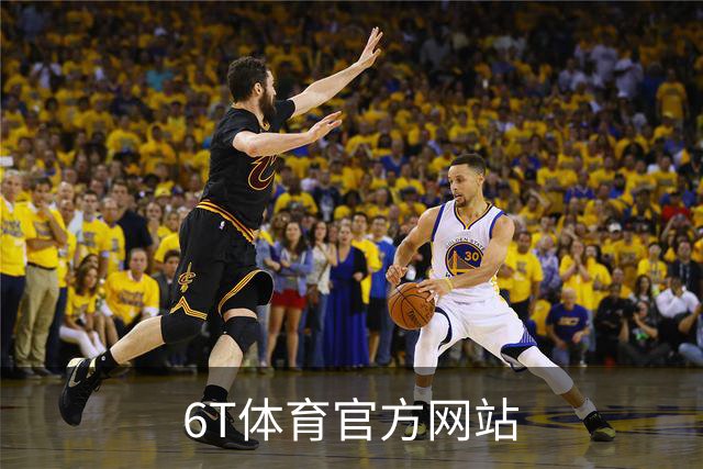 6T体育官方网站公司简介图片